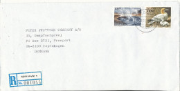 Iceland Registered Cover Sent To Denmark 29-11-1995 Topic Stamps  (sent From The Embassy Of Russia Reykjavik) - Brieven En Documenten