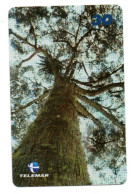 Arbre Tree Télécarte Brésil Telefonkarte Phonecard (F 249) - Flores