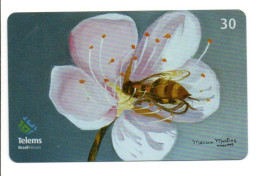 Abeille Fleur Fleurs Flower Télécarte Brésil Telefonkarte Phonecard (F 264) - Fleurs