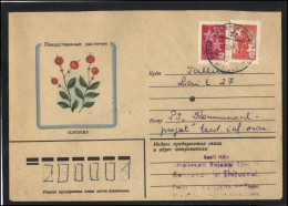 RUSSIA USSR Stationery USED ESTONIA AMBL 1261 KINGISSEPP Flora Plants Herbs Cranberry - Ohne Zuordnung