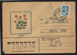 RUSSIA USSR Stationery USED ESTONIA AMBL 1263 KOHTLA-JARVE Flora Plants Herbs Cranberry - Non Classés