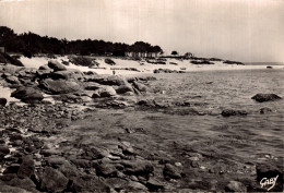 Delcampe - 29 - BEG MEIL / PLAGE DES DUNES à MAREE HAUTE - Beg Meil