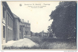 Pk345: Nels - Sanatorium "St. Idesbald" - Poperinge - Algemeen Zicht Op Ziekenuis, Pavillioenen En Kasteel - Poperinge