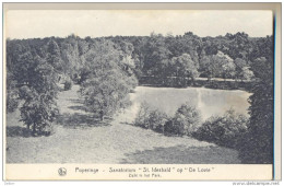 Pk302: Nels  Poperinge - Sanatorium "St.Idesbald" Op "de Lovie"  Zicht In Het Park - Poperinge