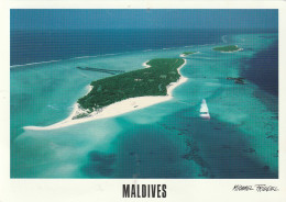 Maldives... Voir  Timbre Au Dos - Maldiven