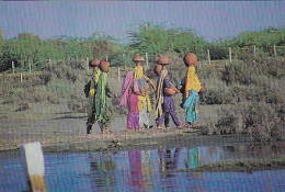 AK 185579 PAKISTAN - Village Girls - Pakistán