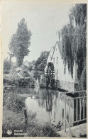 Maaseik De Boschmolen - Maaseik