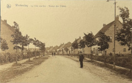 Winterslag De Eikenlaan In La Cite Ouvriere - Genk