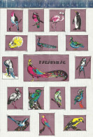 BIRDS PINGUIN ARA FLAMINGO SWALLOW PHEASANT PAON STORK ETC.... Matchbox Labels HUNGARY - Boites D'allumettes - Etiquettes