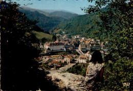 SAINT-HIPPOLYTE    ( DOUBS )   VU DEPUIS LA POTENCE - Saint Hippolyte