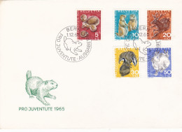 PRO JUVENTUTE 1965 COVERS FDC SWITZERLAND - FDC