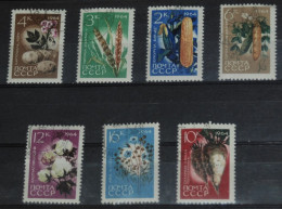 USSR SOVIET 1964, Agricultural Products, Vegetables, Flora, Plants, Mi #2922-8, Used - Vegetables