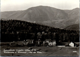 47368 - Niederösterreich - Prigglitz , Pesnion U. Waldesruh , Auf Der Wiese , Waldpension - Gelaufen 1967 - Neunkirchen