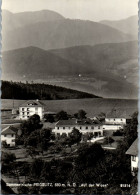 47363 - Niederösterreich - Prigglitz , Auf Der Wiese , Panorama - Gelaufen 1972 - Neunkirchen