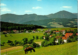 47370 - Niederösterreich - Prigglitz , Auf Der Wiesen , Auf Der Wiese - Gelaufen 1983 - Neunkirchen