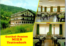 47248 - Niederösterreich - Trattenbach , Gasthof Pension Mies , Karl Mies - Gelaufen 1983 - Neunkirchen