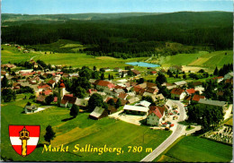 47238 - Niederösterreich - Sallingberg , Markt Sallingberg , Panorama , Waldviertel - Gelaufen  - Zwettl