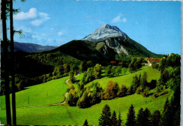 47198 - Niederösterreich - Tormäuer , Naturpark Ötscher Tormäuer , Blick Von Gösing - Nicht Gelaufen  - Scheibbs