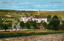 43017389 Gelenau Erzgebirge Koenig Albert Heim Gelenau Erzgebirge - Gelenau