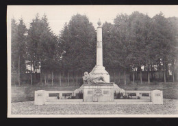 Cpa Vielsam  Monument - Vielsalm