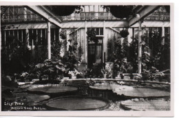 REAL PHOTOGRAPHIC POSTCARD - LILY POND - BOTANIC GARDENS - DUBLIN - COUNTY DUBLIN - Dublin