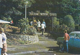 AK 185611 NEW ZEALAND - Waitomo - Entrance To The Glow-Worm Cave - Nouvelle-Zélande