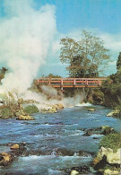 AK 185612 NEW ZEALAND - Papakura Geyser - Nouvelle-Zélande