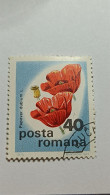 ROUMANIE - ROMANIA - Posta Romana - Timbre 1975 : Fleurs - Coquelicots (papaver Dubium) - Usado