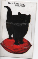 GOOD LUCK FROM BELFAST - BLACK CAT - WITH HOLYWOOD - COUNTY WICKLOW POSTMARK - 1933 - Belfast