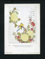 "CHINESE MINIVET, VIBURNUM AND PYROS JAPONICA" Chinese Colour-print Ex British Museum, Groesse 10x14 Cm (3729) - Arte Asiatica