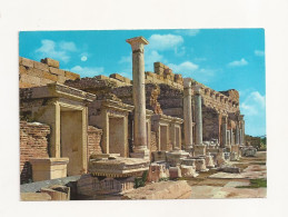 FA23 - Postcard - LIBYA - Leptis Magna, Uncirculated - Libia