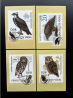 EAST GERMANY DDR 1982 SET OF 4 MAXIMUM CARDS BIRDS OWLS MI 2702/2705 18-05-1982 OOST DUITSLAND - Cartas Máxima