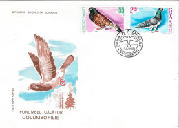 PORUMBEL CALATOR COLUMBOFILIE - BUCURESTI 15 IV 1981 - Pigeons & Columbiformes