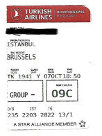 Boarding Pass / Avion / Aviation / Turkish Airlines / 2023 - Cartes D'embarquement