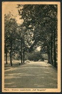 Maarn , Groeten  Leusderheide  " Café Bergzicht " -  Used  1-8-1949  -  2 Scans For Originalscan !! - Maarn