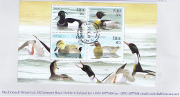 Ireland Birds 2004 Ducks Miniature Sheet Fine Used Mount Merrion Cds - Usados