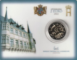 LUXEMBURG 2022 COINCARD 2€   /  LUXEMBOURG 2022 CARTE PIÈCE DE MONNAIE 2€ / LUXEMBOURG 2022 COINCARD 2€ - Luxemburg