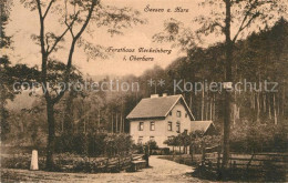 42998980 Seesen Harz Forsthaus Neckelnberg Seesen Harz - Seesen