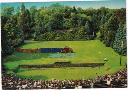 Ede - Openluchttheater 'Calluna' - Voorstelling - (1972) - Ede