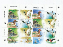 TIMBRE STAMP ZEGEL ISRAËL OISEAUX CANARDS EN TERRE SAINTE  1074-1077  XX - Ungebraucht (mit Tabs)