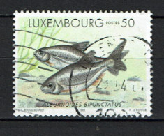 Luxembourg 1998 - YT 1389 - Freshwater Fish, Poisson, Ablette Spirlin - Usados