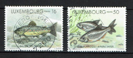 Luxembourg 1998 - YT 1387-1389 - Freshwater Fish, Poisson, Ablette Spirlin, Truite - Gebraucht