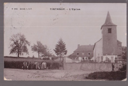 Carte Photo Tintange   1905 - Fauvillers