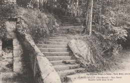 FAYL BILLOT BOIS BANAL ESCALIER TAILLE DANS LE ROC TBE - Fayl-Billot