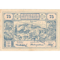 Autriche, Mitterbach, 75 Heller, Paysage, 1920, 1920-12-31, SUP+, Mehl:FS 618a - Oesterreich