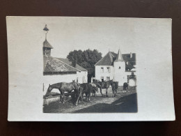 Hombourg Haut Château De Hellering Rare Carte Photo Avec Cheveaux Près De Freyming Merlebach Et Saint Avold - Freyming Merlebach