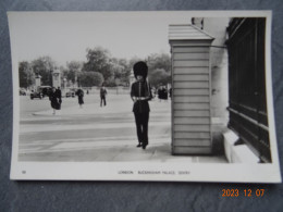 BUCKINGHAM  PALACE  SENTRY - Buckingham Palace