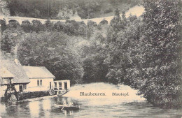 Blaubeuren - Blautopf - Blaubeuren