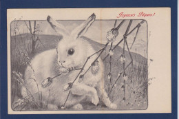 CPA Lapin Bunny Rabbit Non Circulée Fantaisie MM VIENNE N° 261 Pâques - Sonstige & Ohne Zuordnung