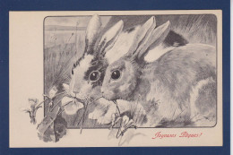 CPA Lapin Bunny Rabbit Non Circulée Fantaisie MM VIENNE N° 261 Pâques - Autres & Non Classés